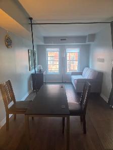 Roommate wanted: Available Sunday November 1: Dorset Park area - Photo 4