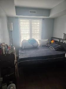 Roommate wanted: Available Sunday November 1: Dorset Park area - Photo 6