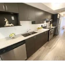 Roommate wanted: Available Sunday November 1: Dorset Park area - Photo 7