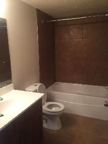 Brevoort Park 2 Bedroom - Photo 3