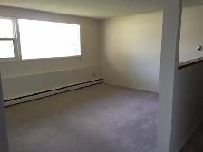 Brevoort Park 2 Bedroom - Photo 4