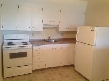 Brevoort Park 2 Bedroom - Photo 5