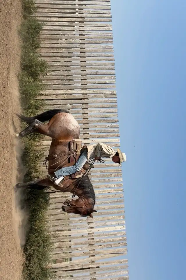feedlot miles