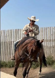 feedlot miles - Photo 2