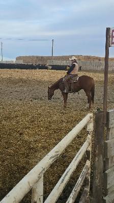 feedlot miles - Photo 6
