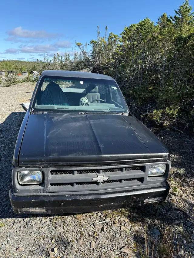 1987 S10 Project Truck