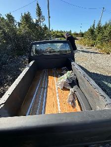 1987 S10 Project Truck - Photo 6