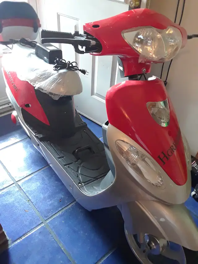 Electric Scooter