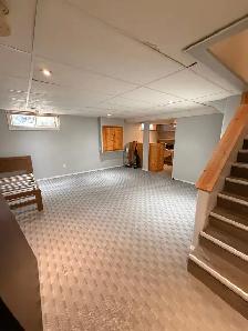 Basement Suite for Rent - Photo 10