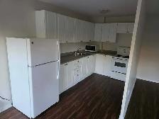 1-Bedroom Apartment at 1203 Huron Street-sublet - Photo 10