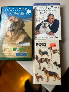 3 GREAT BOOKS FOR DOG LOVERS
