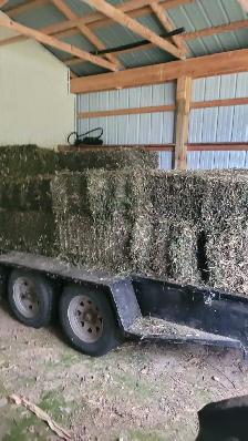 hay(red clover ) - Photo 3