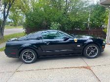 2008 Bullitt Mustang 4.6 5spd mature owner. Original,no mods. - Photo 3