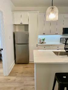 Luxury Apt - Bruce Power (Neustadt) - Photo 4