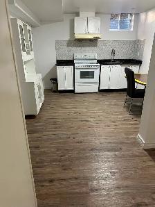 Hurontario & Steeles / 407 Basement Apartment For Rent