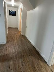 Hurontario & Steeles / 407 Basement Apartment For Rent - Photo 2