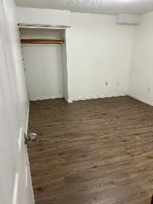 Hurontario & Steeles / 407 Basement Apartment For Rent - Photo 6