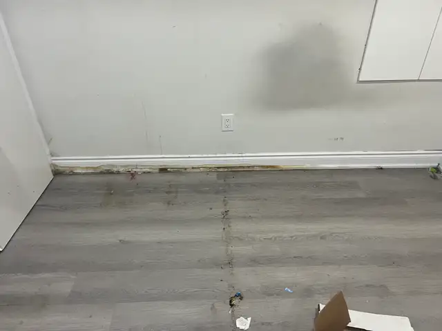 Trim Baseboard and Door Repair  $100
