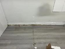 Trim Baseboard and Door Repair  $100