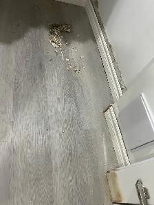 Baseboard Trim and Door Trim $100