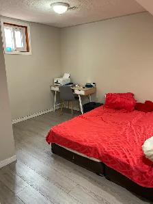 Two Bedroom Basement available for rent near Sheridan College - Photo 7