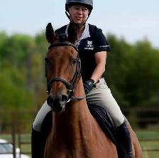 Throughobred Mare (family safe) - Photo 2