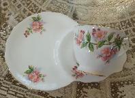 Royal Albert - Evesham