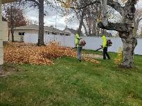 Fall Cleanup Crew Member Needed