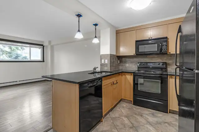 1BR Condo for rent in Windsor Park