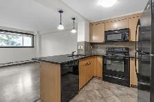 1BR Condo for rent in Windsor Park