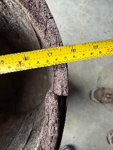 Oak Barrel - Photo 4