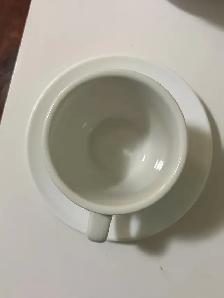 World Porcelana Cups and  Arcorocy Saucers (Set of 8) - Photo 4