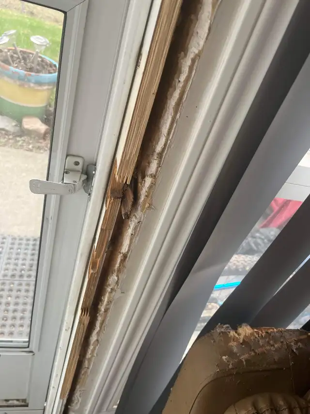 BUSTED DOOR IS NOT CLOSING EASY, dead bolt is stuck. CONTACT US