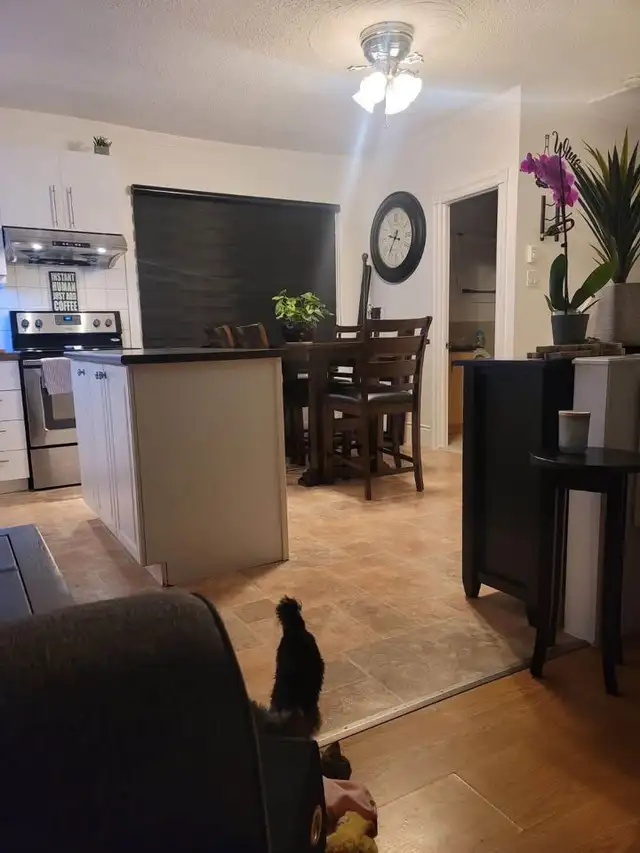 4 bedrooms apartment in Embrun, ON