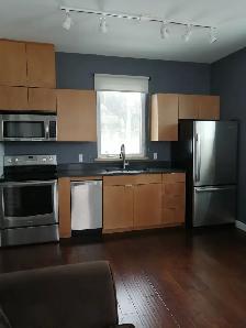 Downtown Apartment for Rent