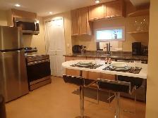 1 Bedroom Furnished Walkout Apartment for Rent - Photo 5