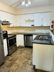 1 Bed   Large Den, 1 Bath Condo at Courtyards on Main Condos - Photo 5