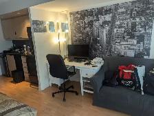 Condo studio fully furnished Long or Short term Yonge & Sheppard - Photo 9