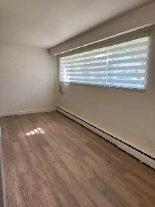Cobourg 2 bedroom apartment - available now/Nov 1st - Photo 3