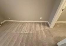 Professional Steam Carpet Cleaning (Truck Mounted Equipments) - Photo 7