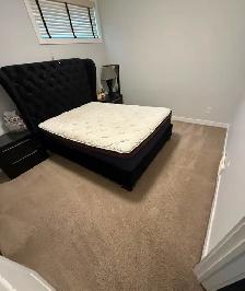 Professional Steam Carpet Cleaning (Truck Mounted Equipments) - Photo 8