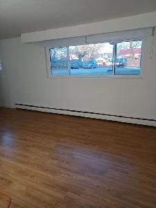 Cobourg 1 bedroom apartment - available Nov 1st - Photo 2