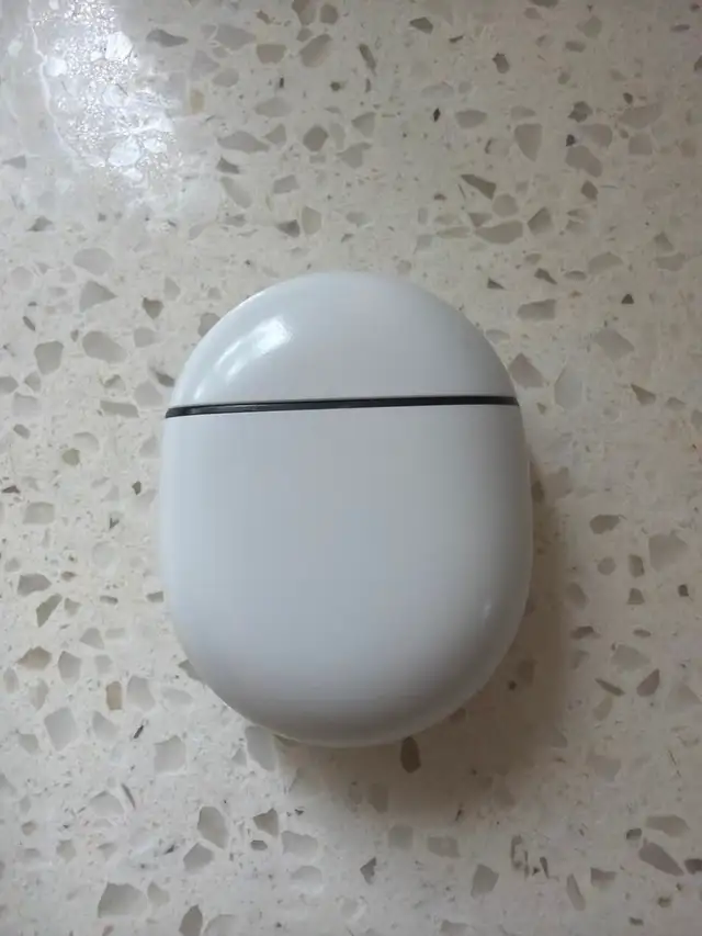Google Pixel Buds Pro Charging Case (works)   right earbud free