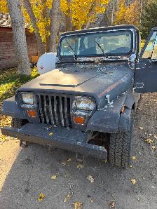 HUNTING/FARM JEEP.  Runs Good - Photo 3