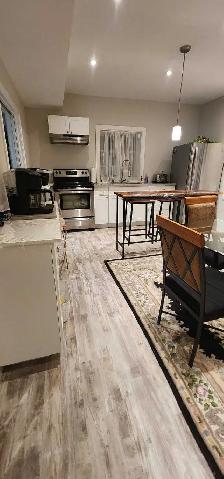 Basement For Rent - Photo 5