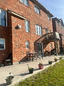 BACHELOR/STUDIO APPARTMENT FOR RENT IN BRAMPTON - Photo 4