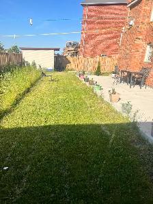 BACHELOR/STUDIO APARTMENT FOR RENT IN BRAMPTON - Photo 7