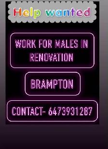 General Labour- Renovation