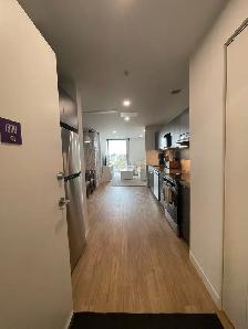 1-Bedroom Apartment - Available November 1st
