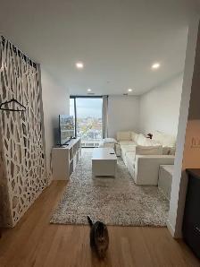 1-Bedroom Apartment - Available November 1st - Photo 4